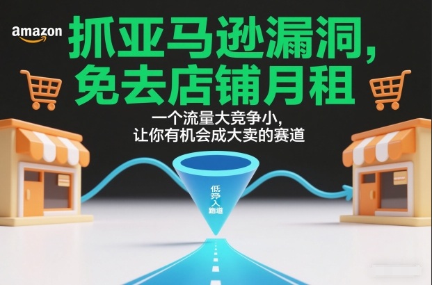 抓亚马逊漏洞，免去店铺月租，一个流量大竞争小，让你有机会成大卖的赛道-云创网