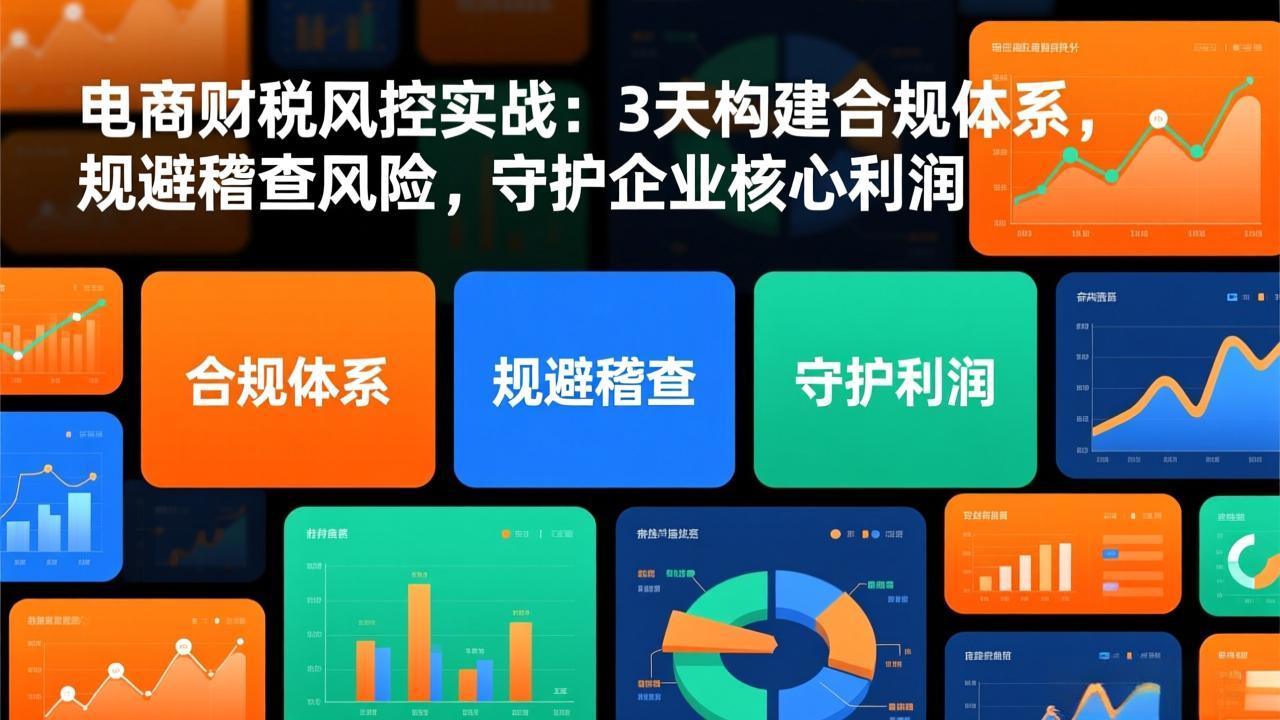 电商财税风控实战：3天构建合规体系，规避稽查风险，守护企业核心利润-云创网