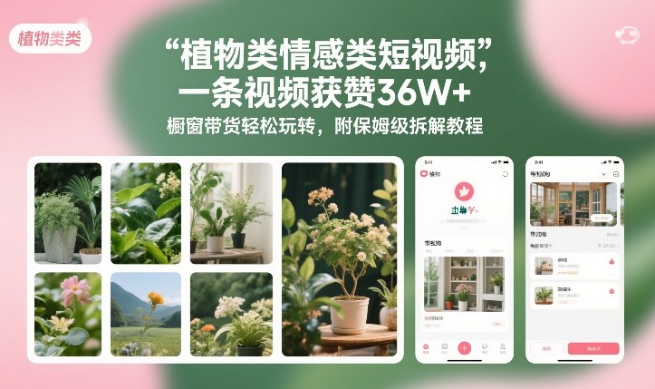 植物类情感类短视频，一条视频获赞36W+，橱窗带货轻松玩转，附保姆级拆解教程-云创网