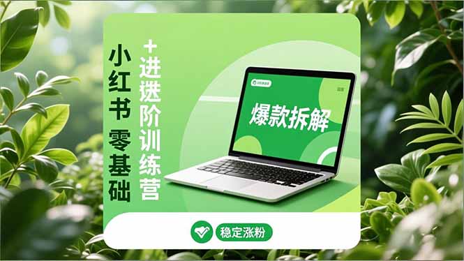 小红书零基础+高阶训练营：安全养号、爆款拆解、长效运营，实现稳定涨粉与变现-云创网