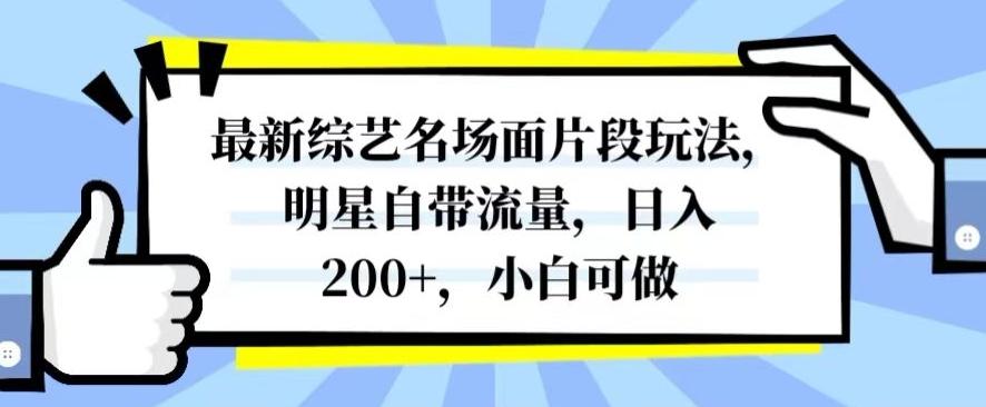 最新综艺名场面片段玩法，明星自带流量，日入200+，小白可做【揭秘】-云创网