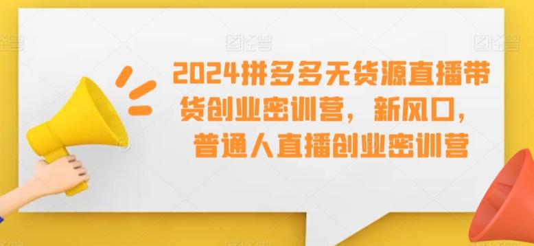 2024拼多多无货源直播带货创业密训营，新风口，普通人直播创业密训营-云创网