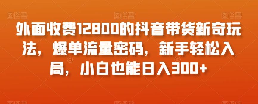 外面收费12800的抖音带货新奇玩法，爆单流量密码，新手轻松入局，小白也能日入300+【揭秘】-云创网