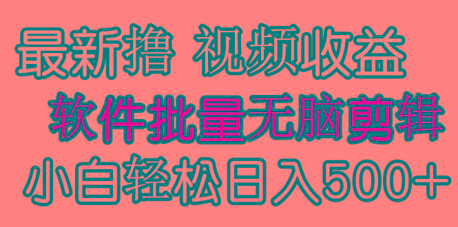 (9569期)发视频撸收益，软件无脑批量剪辑，第一天发第二天就有钱-云创网