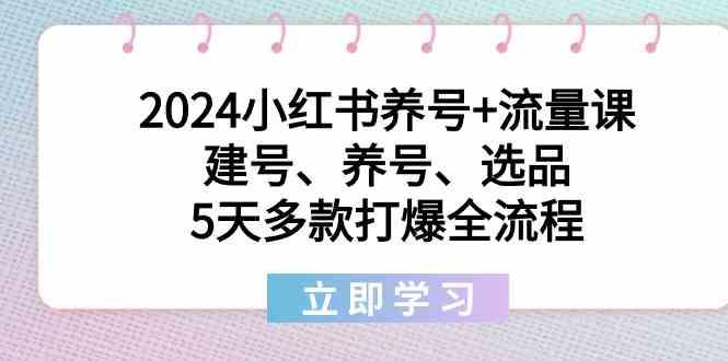 2024小红书养号+流量课：建号、养号、选品，5天多款打爆全流程-云创网