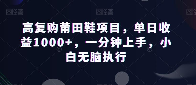 高复购莆田鞋项目，单日收益1000+，一分钟上手，小白无脑执行-云创网