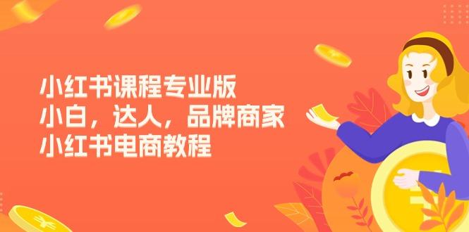 小红书课程专业版，小白，达人，品牌商家，小红书电商教程(15节-云创网