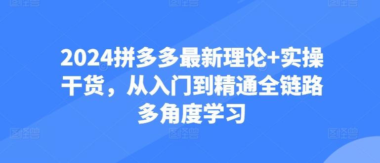 2024拼多多最新理论+实操干货，从入门到精通全链路多角度学习-云创网