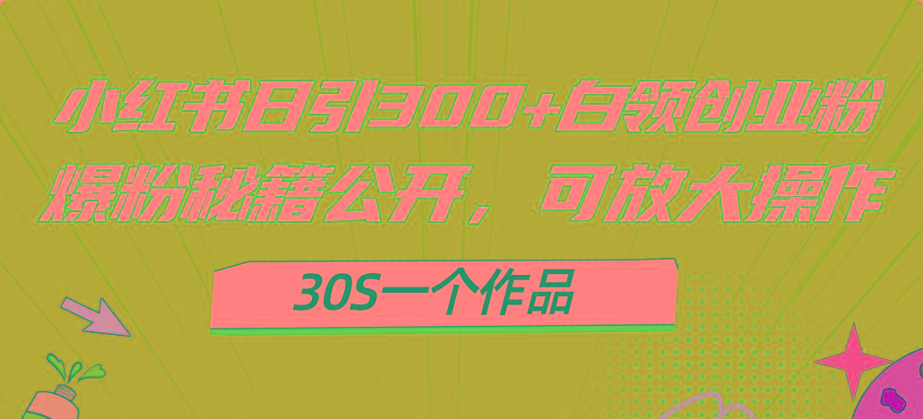 小红书日引300+高质白领创业粉，可放大操作，爆粉秘籍！30s一个作品-云创网