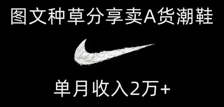 靠图文种草分享卖A货潮鞋，每天一小时，单月收入2万+【揭秘】-云创网