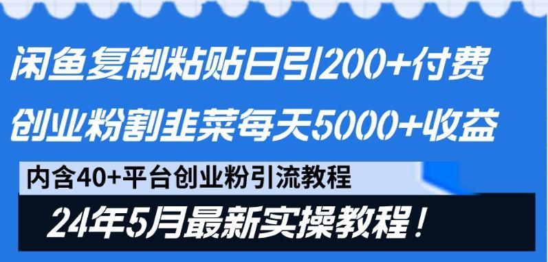 闲鱼复制粘贴日引200+付费创业粉，24年5月最新方法！割韭菜日稳定5000+收益-云创网
