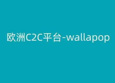 欧洲C2C平台-wallapop-kim跨境电商教程-云创网