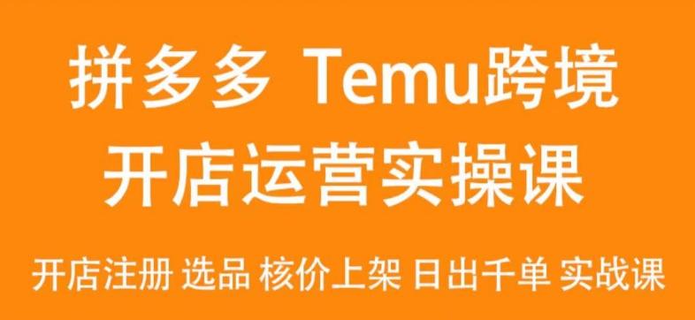 2024Temu最新玩法，Temu跨境开店运营实操课，开店注册/选品/核价上架/日出千单实战课-云创网