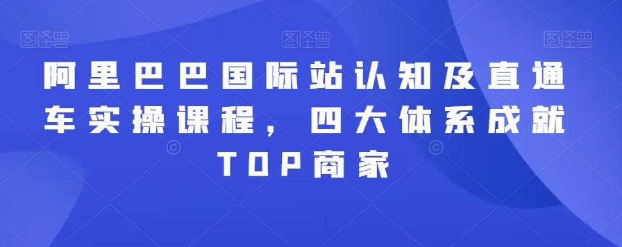 阿里巴巴国际站认知及直通车实操课程，四大体系成就TOP商家-云创网