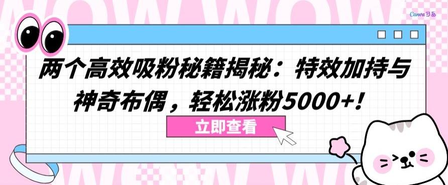 两个高效吸粉秘籍揭秘：特效加持与神奇布偶，轻松涨粉5000+【揭秘】-云创网