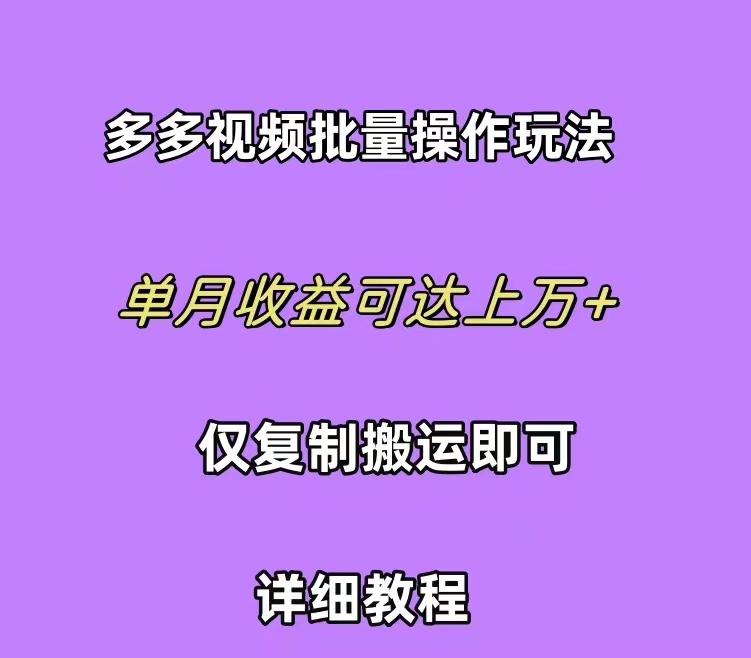 (10029期)拼多多视频带货快速过爆款选品教程 每天轻轻松松赚取三位数佣金 小白必...-云创网