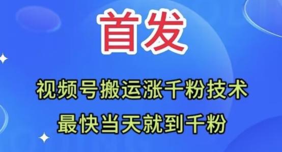 全网首发：视频号无脑搬运涨千粉技术，最快当天到千粉【揭秘】-云创网