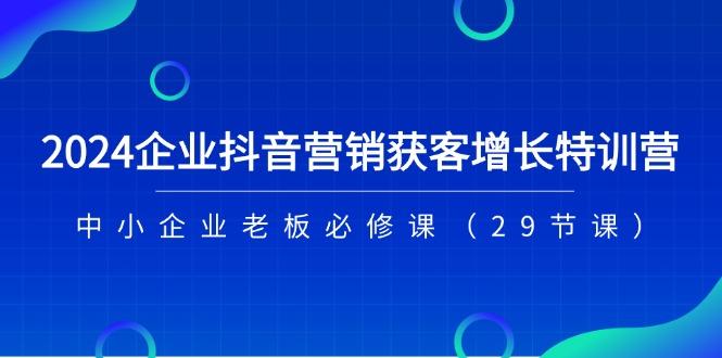 2024企业抖音-营销获客增长特训营，中小企业老板必修课(29节课-云创网