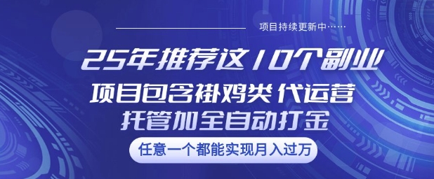 25年推荐这10个副业项目包含褂鸡类、代运营托管类、全自动打金类【揭秘】-云创网