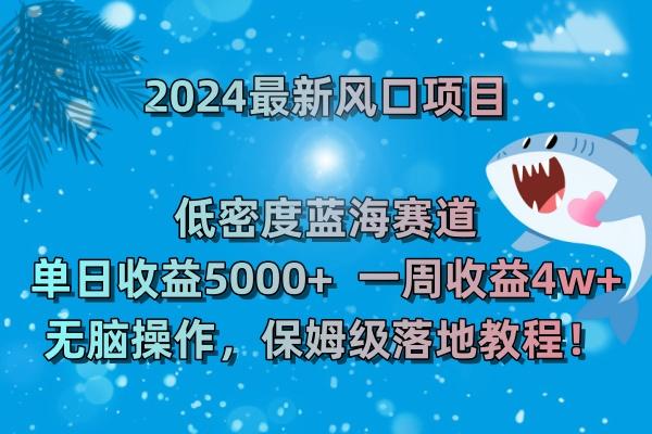 (8545期)2024最新风口项目 低密度蓝海赛道，日收益5000+周收益4w+ 无脑操作，保...-云创网