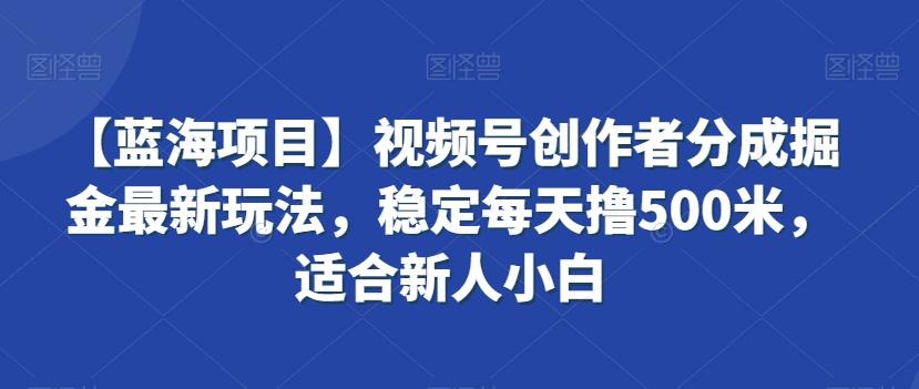 【蓝海项目】视频号创作者分成掘金最新玩法，稳定每天撸500米，适合新人小白【揭秘】-云创网