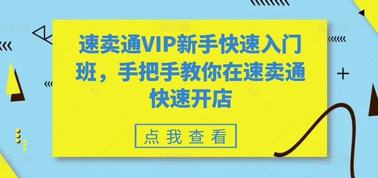 速卖通VIP新手快速入门班，手把手教你在速卖通快速开店-云创网