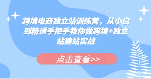 跨境电商独立站训练营，从小白到精通手把手教你做跨境+独立站建站实战-云创网