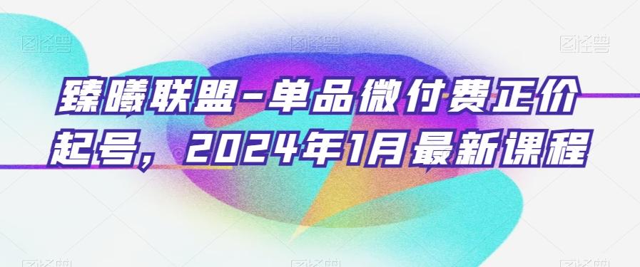 臻曦联盟-单品微付费正价起号，2024年1月最新课程-云创网