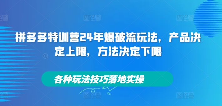 拼多多特训营24年爆破流玩法，产品决定上限，方法决定下限，各种玩法技巧落地实操-云创网