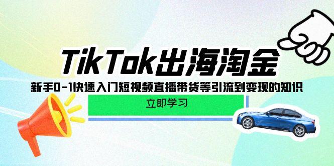 (10035期)TikTok-出海淘金，新手0-1快速入门短视频直播带货等引流到变现的知识-云创网