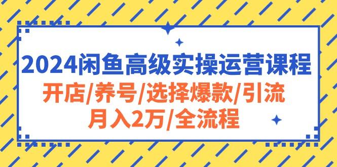 2024闲鱼高级实操运营课程：开店/养号/选择爆款/引流/月入2万/全流程-云创网