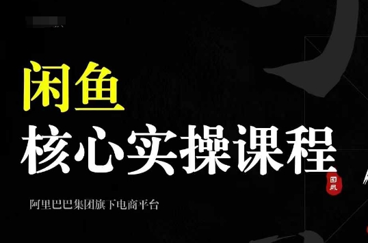 2024闲鱼核心实操课程，从养号、选品、发布、销售，教你做一个出单的闲鱼号-云创网