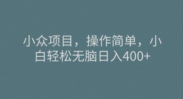 小众项目，操作简单，小白轻松无脑日入400+-云创网