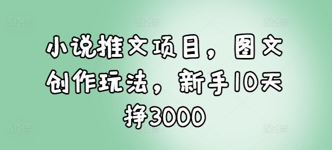 小说推文项目，图文创作玩法，新手10天挣3000-云创网