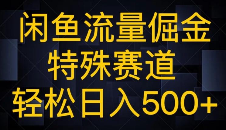 闲鱼流量倔金，特殊赛道，轻松日入500+-云创网