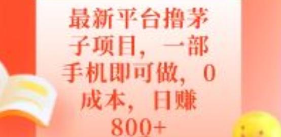 最新平台撸茅子项目，一部手机即可做，0成本，日赚800+-云创网
