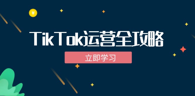 TikTok实战运营全攻略：从下载软件到变现，抖音海外版实操教程-云创网